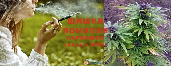 ПСИЛОЦИБИНОВЫЕ ГРИБЫ Горно-Алтайск