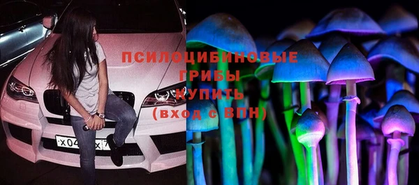 экстази Горняк