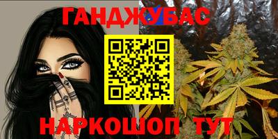 индика Гай