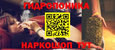 дмт Бузулук