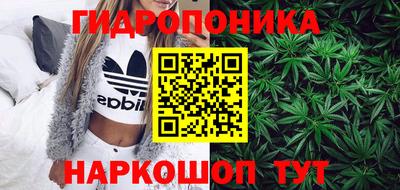 мдпв Гатчина