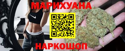 индика Гай
