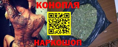 индика Гай