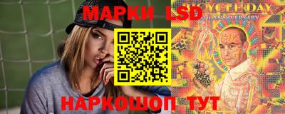 индика Гай