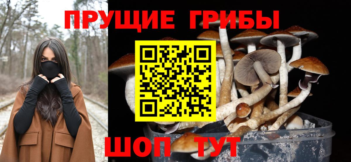 Галлюциногенные грибы ЛСД Елабуга