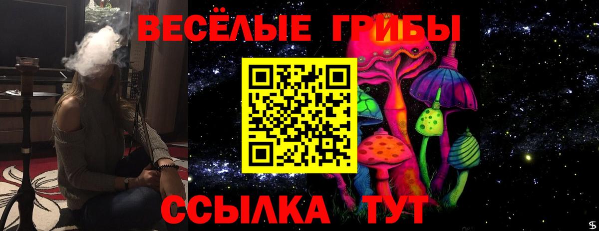 где купить наркотик  Елабуга  Псилоцибиновые грибы Psilocybe  Псилоцибиновые грибы мухоморы 